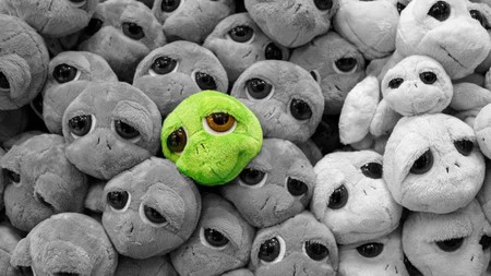 Behance